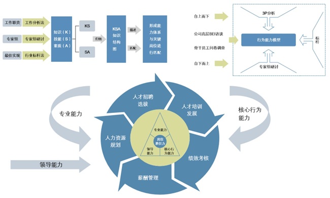 闭环人才管理体系