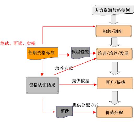 任职资格标准