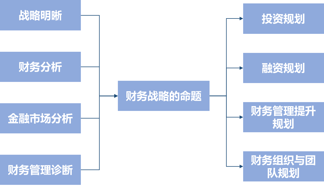 财务战略